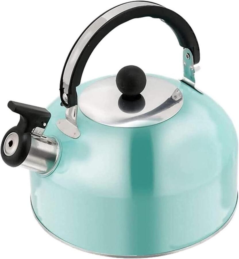 Fluitende Waterkoker Theeketel Roestvrijstaal Koken van Water Grote Inhoud 3L Platte Bodem Geschikt