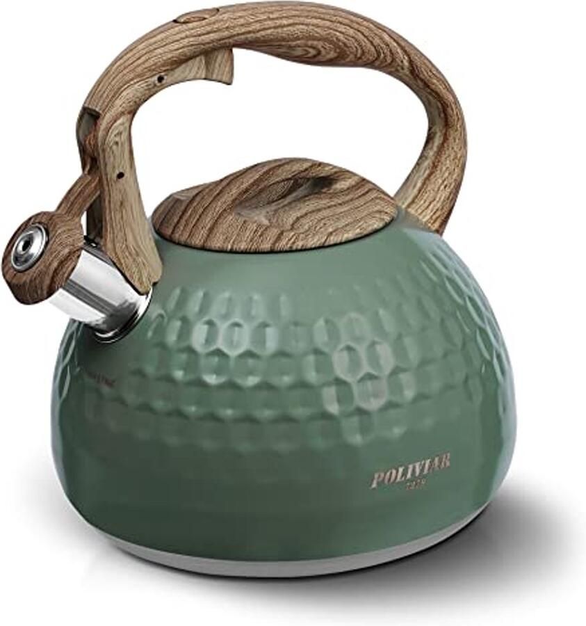 Kachel Top Waterkoker 2 7 L RVS Fluitketel voor Alle Warmtebronnen Anti-Roest en Warmtebestendig Handvat