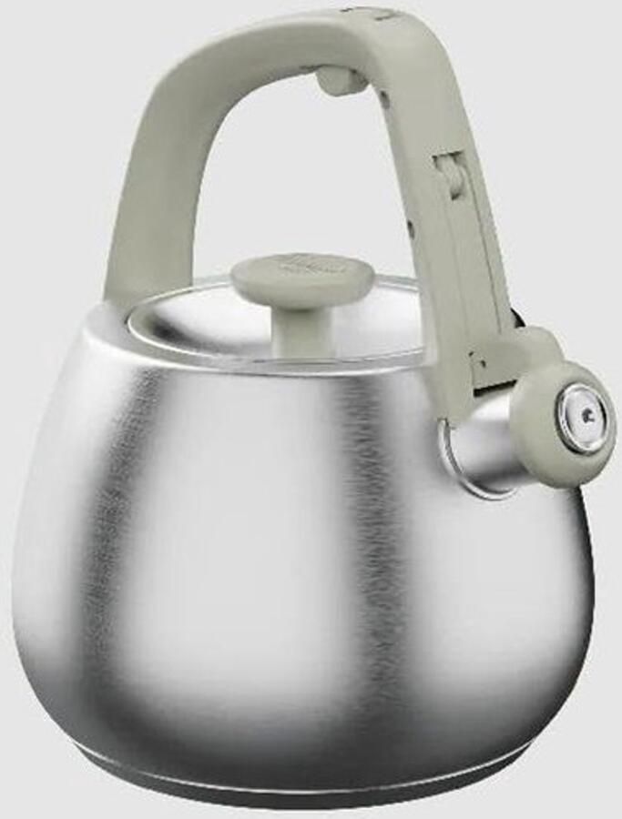 Kettle Fluitketel en waterkoker Voor thee zetten Ergonomische handgreep 2 Liter Sage Groen