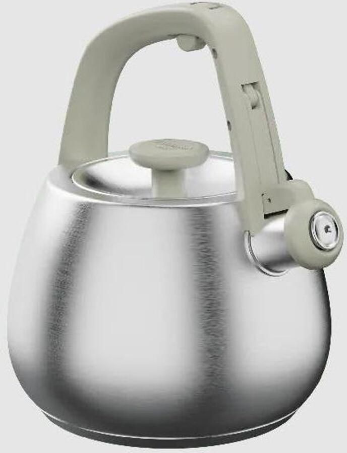 Kettle Waterkoker Fluitketel Thee Zetten Ergonomische Handgreep 2 Liter Sage Groen