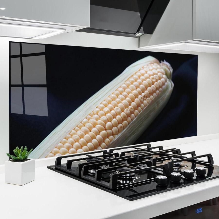 Keuken achterwand glas Spatbescherming fornuis Glazen plaat Keuken beschermen Hittebestendig 200°C 60x120 cm Maize