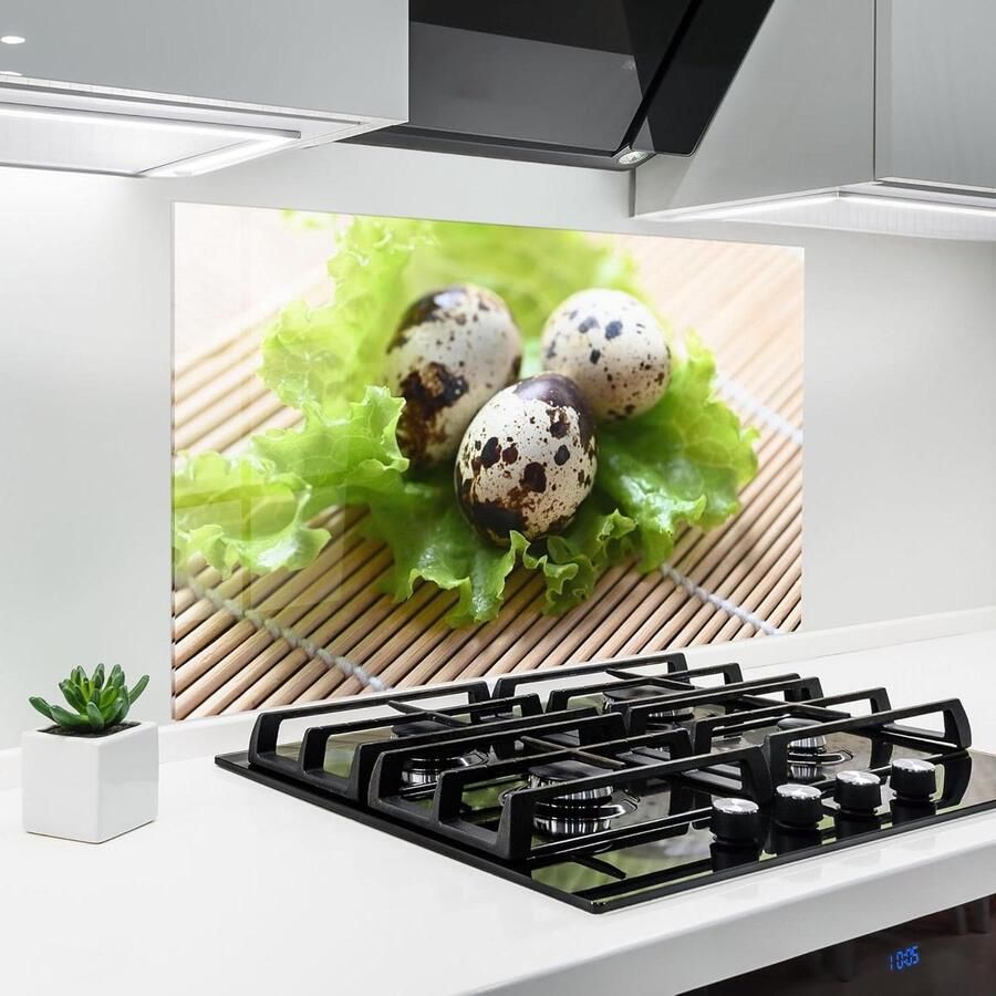 Keuken achterwand glas Spatbescherming fornuis Keuken beschermen Gehard glas 5mm 60x80 cm Quail Eggs