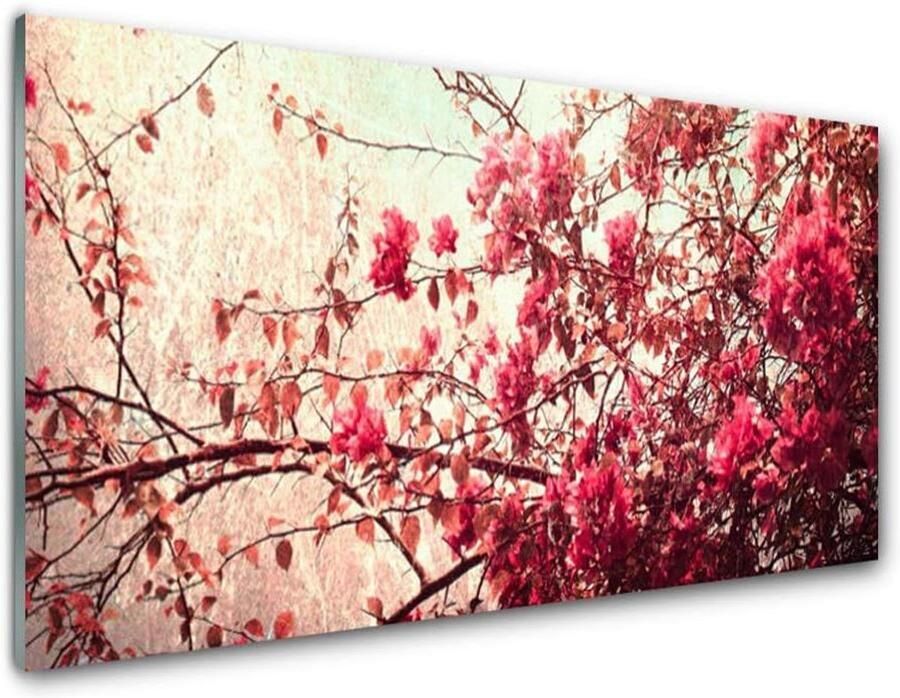 Keuken achterwand Spatbescherming glas Kookplaat beschermen Gehard glas 100x50cm Winter berken
