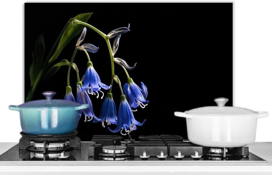 Keuken Spatscherm Achterwand Beschermer Koken Beschermen Unieke Foto Print 70x50 cm Blauw