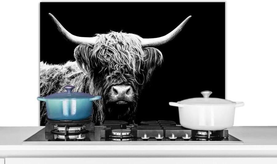 Keuken Spatscherm Achterwand Beschermer Koken en Bakken Unieke Fotoprint 80x55 cm Zwart Wit