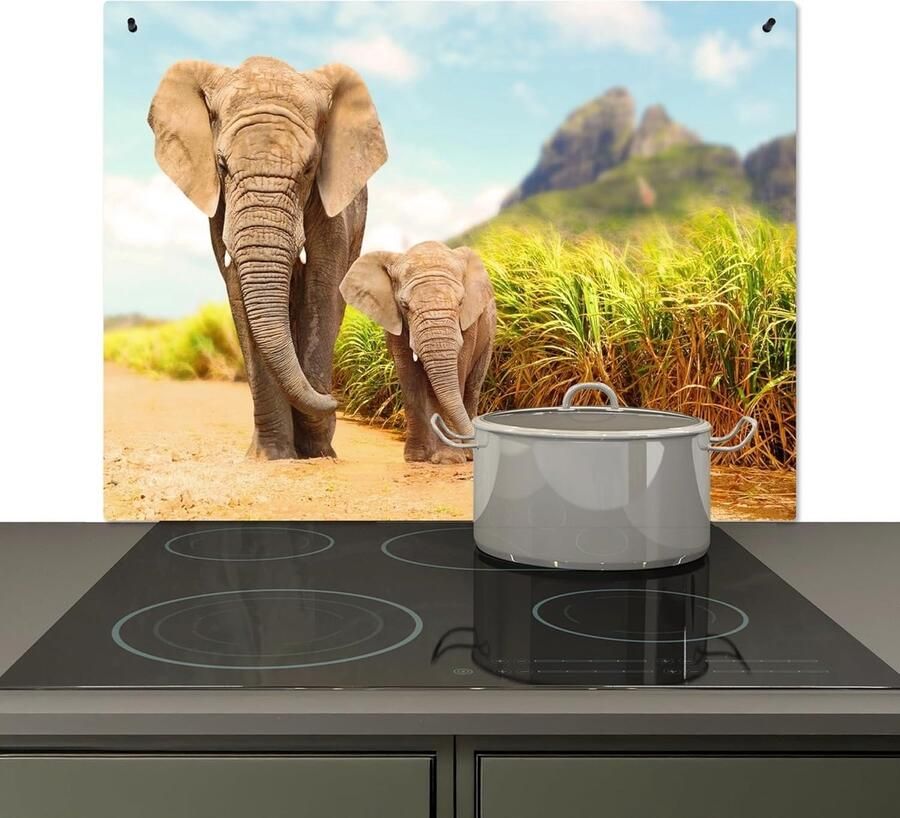 Keuken Spatscherm Achterwand Beschermer Kookplaat Beveiligen Hittebestendig Aluminium 52x78 cm Olifanten Natuur