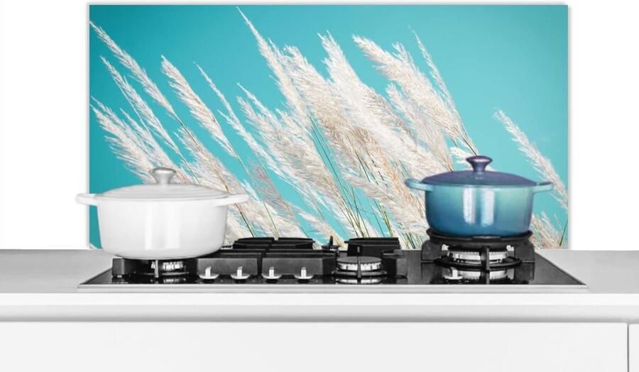 Keuken Spatscherm Achterwand Bescherming Koken en Bakken Unieke Foto Print Veel Maten Veelkleurig
