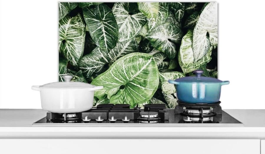 Keuken Spatscherm Achterwand Keuken Koken Beschermen Luxe Aluminium 70x50 cm Veelkleurig