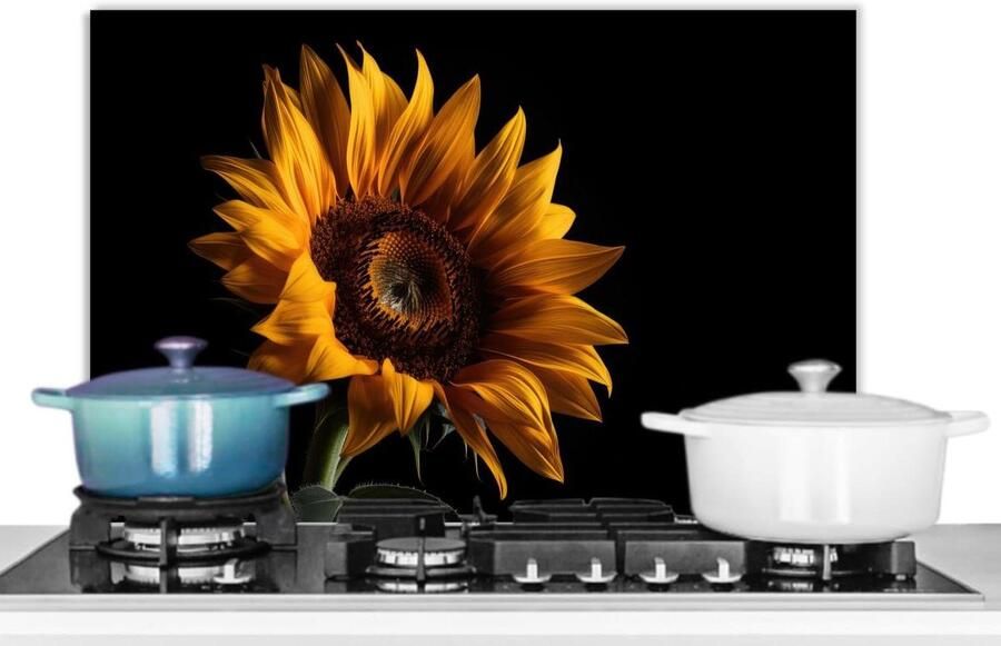 Keuken Spatscherm Muur Beschermer Kookplaat Beschermen Hittebestendig Aluminium 70x50 cm Zwart