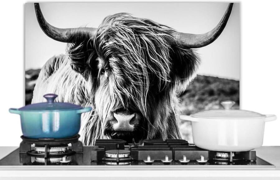 Keuken Spatscherm Muur Beschermer Kookplaat Beschermen Unieke Foto Print 60x40 cm Zwart Wit Koe