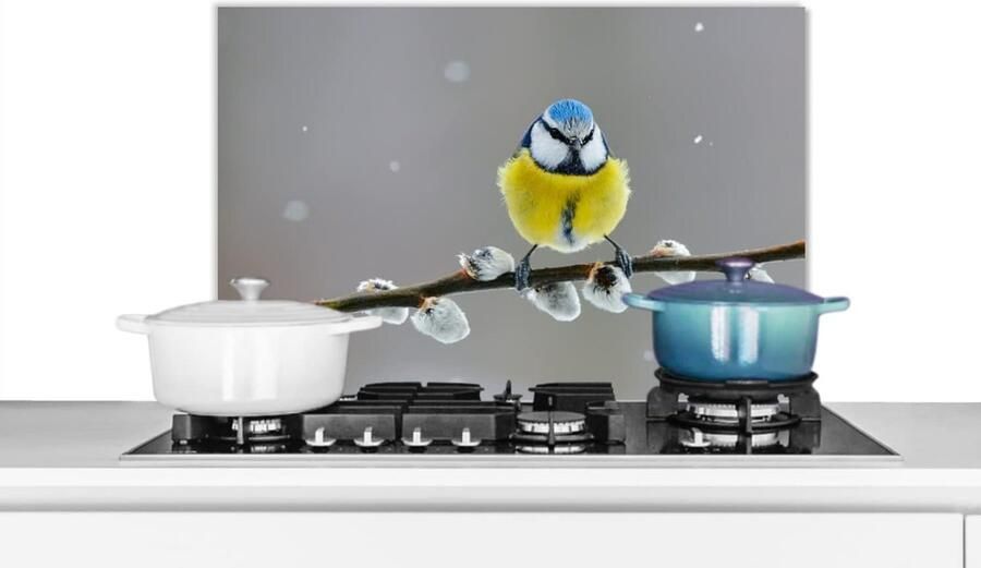 Keuken Spatscherm Spatwand Achterwand Koken Beschermen Lichtgewicht Kunststof 60x40 cm Geel Blauw