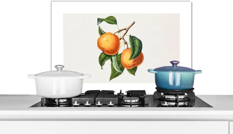 Keuken Spatscherm Spatwand Achterwand Koken Beschermen Luxe Aluminium 70x50 cm Veelkleurig