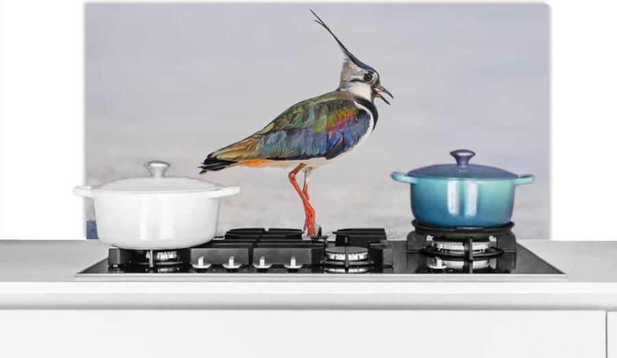 Keuken Spatscherm Spatwand Achterwand Kookplaat Beschermen Hittebestendig Materiaal 100x50 cm Veelkleurig
