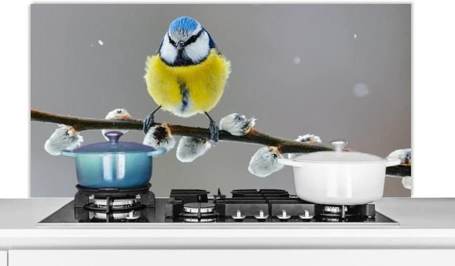 Keuken Spatscherm Spatwand Keuken Kookplaat Beschermen Luxe Aluminium 120x60 cm Veelkleurig