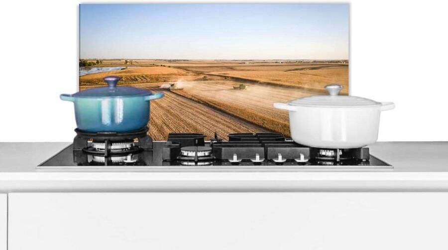 Keuken Spatscherm Spatwand Keuken Kookplaat Beschermen Unieke Fotoafdruk 60x30 cm Veelkleurig