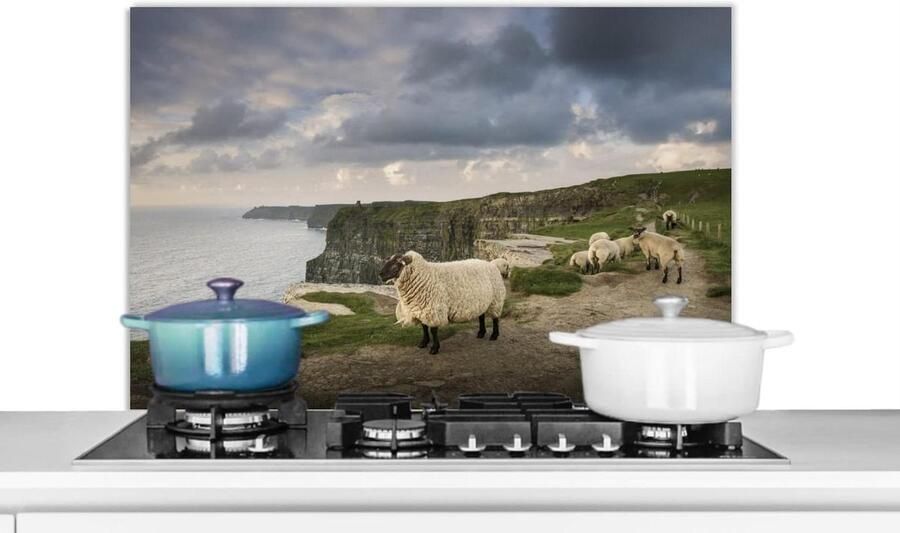Keuken Spatscherm Spatwand Keuken Kookplaat Beschermen Unieke Fotoafdruk 80x55 cm Veelkleurig