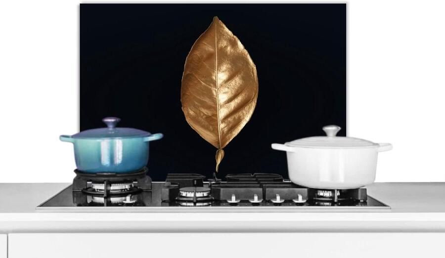 Keuken Spatscherm Spatwand Keukenpaneel Kookplaat Beschermen Goudkleurig Blad Design 70x50 cm Zwart