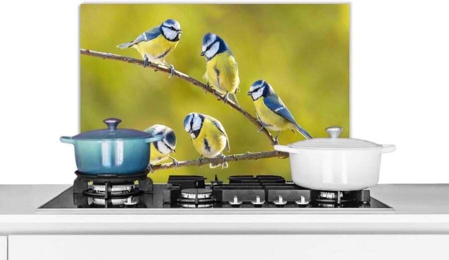 Keuken Spatscherm Spatwand Keukenpaneel Kookplaat Beschermen Unieke Fotoafdruk 70x50 cm Veelkleurig