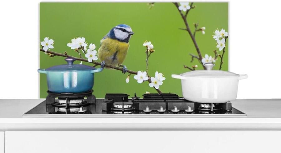Keuken Spatscherm Spatwand Kookplaat Keuken Beschermen Scherpe Fotoafdruk 90x45 cm Veelkleurig