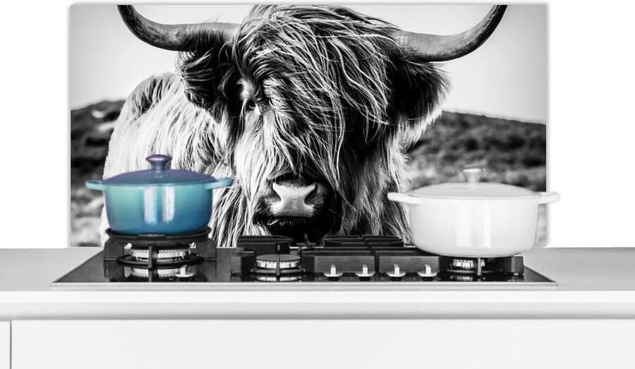 Keuken Spatscherm Spatwand Kookplaat Keuken Beschermen Scherpe Koe Print 100x50 cm Zwart Wit