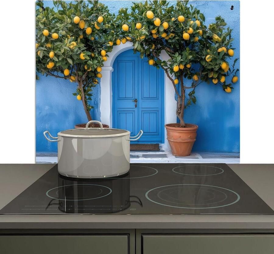 Keuken Spatscherm Spatwand Kookplaat Keukenwand Beschermen Dubbele Functie 51x59 cm Citroenbomen Geel