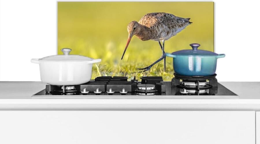 Keuken Spatscherm Wandbeschermer Kookplaat Beschermen Hittebestendig Materiaal 60x30 cm Veelkleurig
