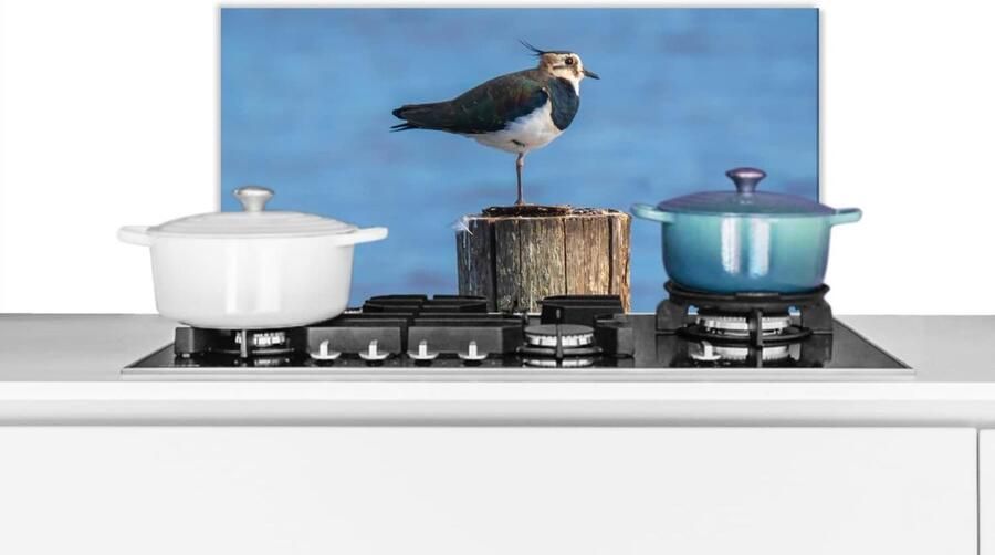 Keuken Spatscherm Wandbescherming Keuken Kookplaat Beschermen Hittebestendig Materiaal 60x30 cm Blauw Kievit