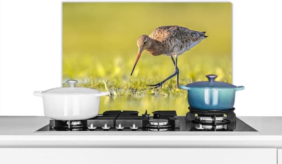 Keuken Spatscherm Wandbescherming Keuken Kookplaat Beschermen Hittebestendig Materiaal 60x40 cm Veelkleurig