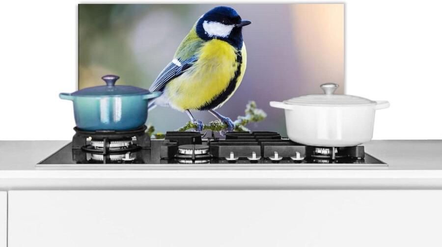 Keuken Spatscherm Wandpaneel Achterwand Koken Beschermen Luxe Aluminium 70x30 cm Veelkleurig