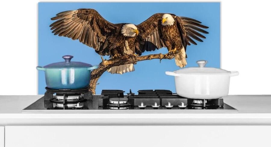 Keuken Spatscherm Wandpaneel Achterwand Koken Beschermen Luxe Aluminium 80x40 cm Veelkleurig