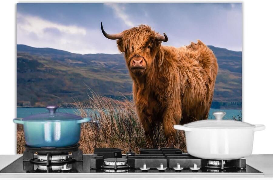 Keuken Spatscherm Wandpaneel Achterwand Koken Beschermen Unieke Foto Print 90x60cm Schotse Hooglander