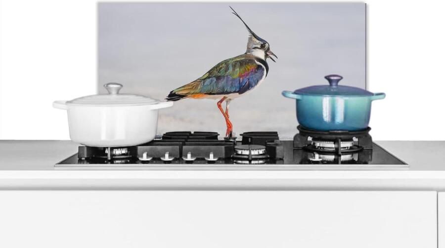 Keuken Spatscherm Wandpaneel Achterwand Kookplaat Beschermen Hittebestendig Makkelijk Schoon 60x30 cm Veelkleurig