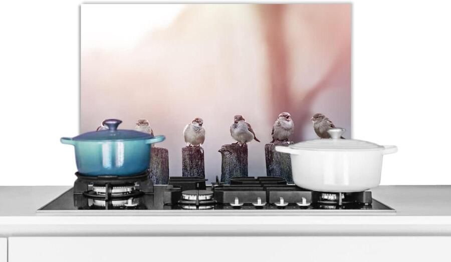 Keuken Spatscherm Wandpaneel Achterwand Kookplaat Beschermen Scherpe Fotoafdruk 70x50 cm Veelkleurig