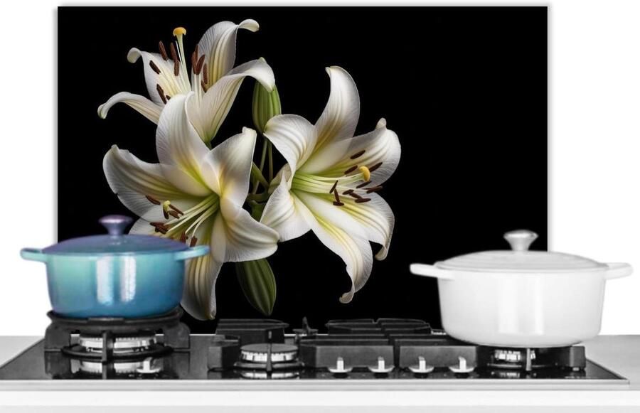 Keuken Spatscherm Wandpaneel Beschermer Koken Beschermen Unieke Foto Print 60x40cm Wit
