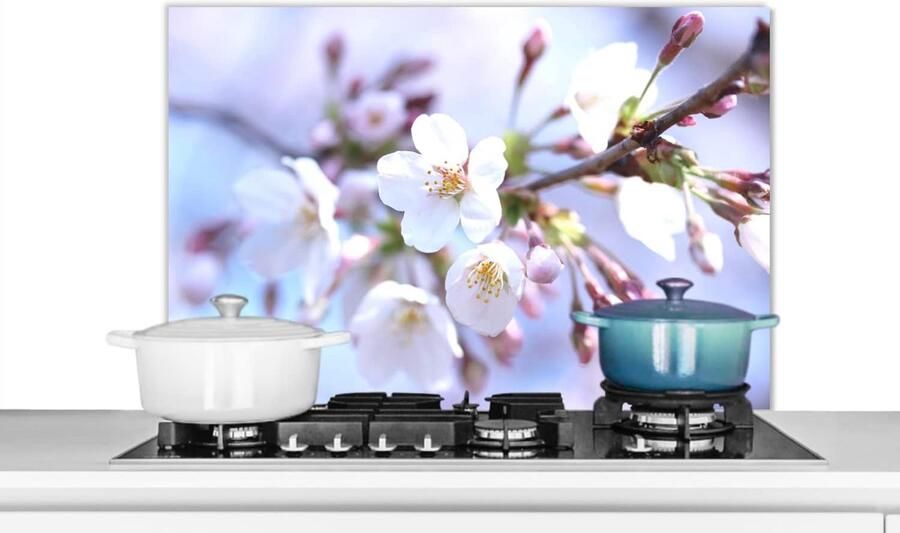 Keuken Spatscherm Wandpaneel Glas Kookplaat Beschermen Luxe Aluminium 80x55 cm Veelkleurig