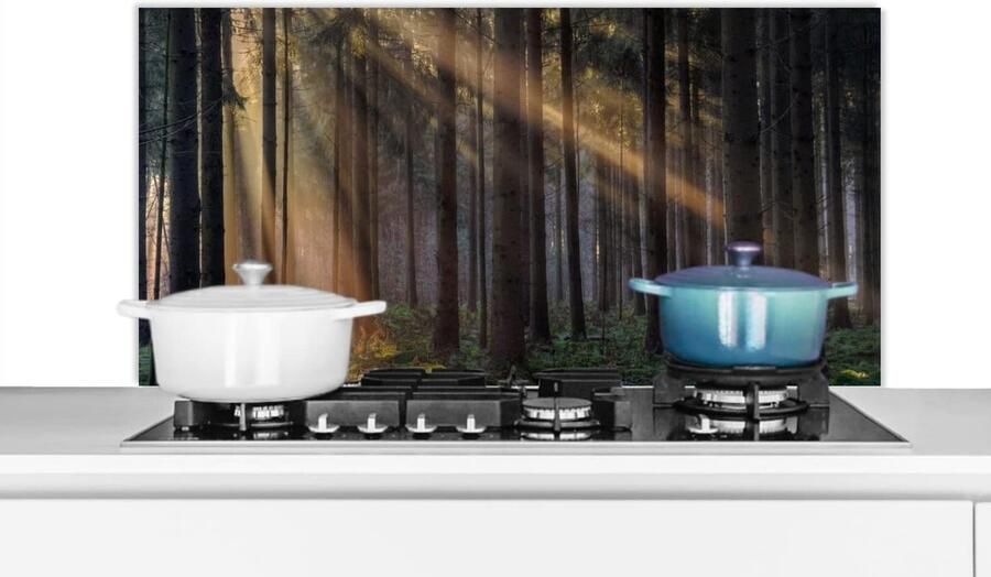 Keuken Spatscherm Wandpaneel Keuken Kookplaat Beschermen Luxe Aluminium 100x50 cm Veelkleurig