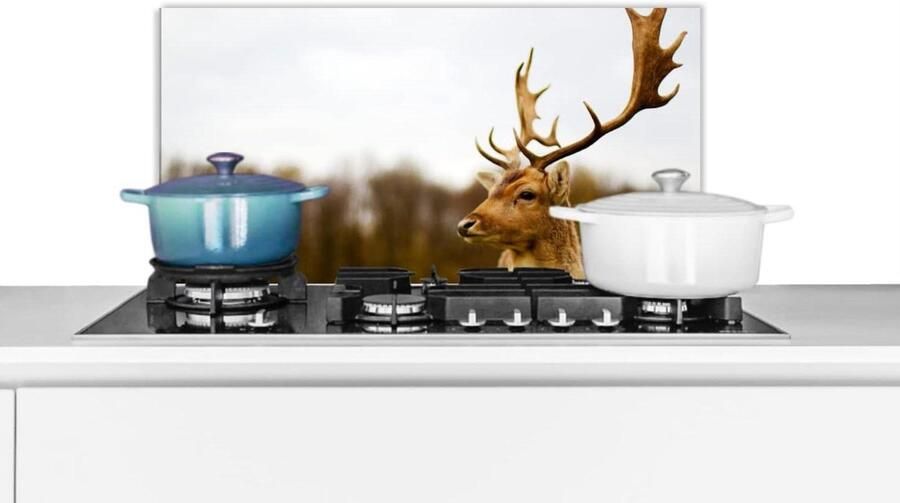 Keuken Spatscherm Wandpaneel Koken Beschermen Luxe Aluminium 70x30 cm Veelkleurig