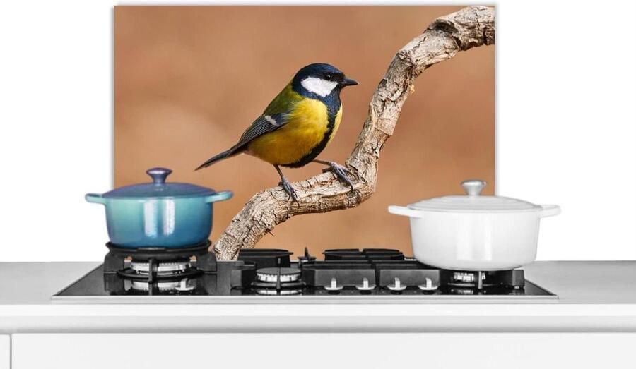 Keuken Spatscherm Wandpaneel Koken Beschermen Scherpe Fotoprint 60x40 cm Multicolor
