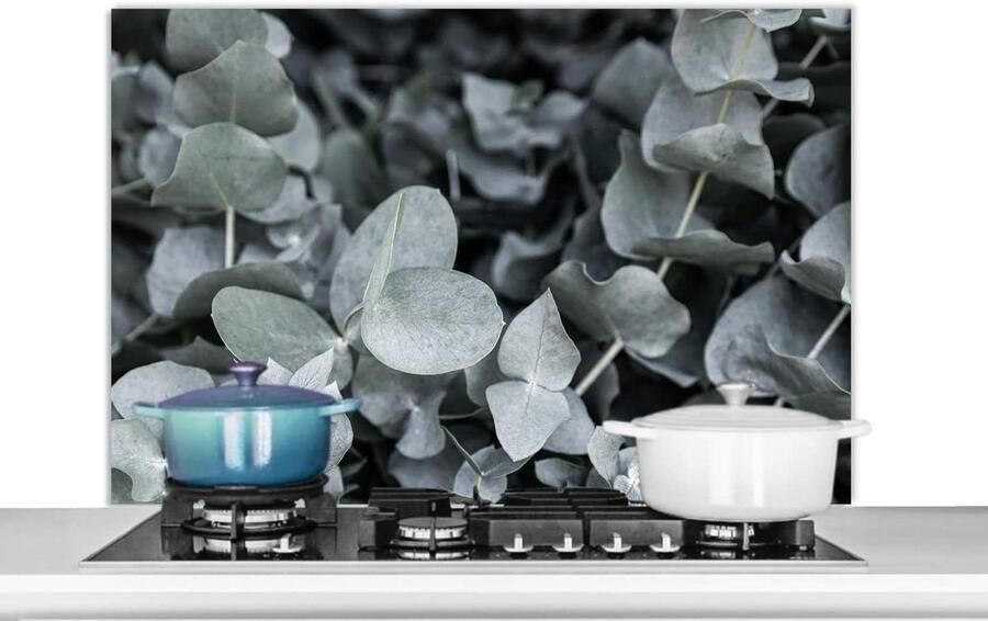 Keuken Spatscherm Wandpaneel Kookplaat Beschermen Luxe Aluminium 100x65 cm Veelkleurig