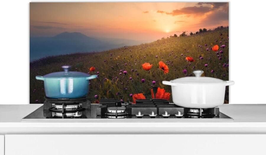 Keuken Spatscherm Wandpaneel Kookplaat Beschermen Scherpe Fotoafdruk 100x50 cm Veelkleurig