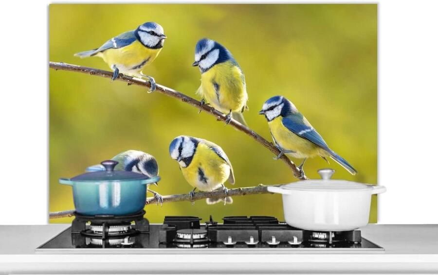 Keuken Spatscherm Wandpaneel Kookplaat Beschermen Scherpe Fotoafdruk 100x65 cm Veelkleurig