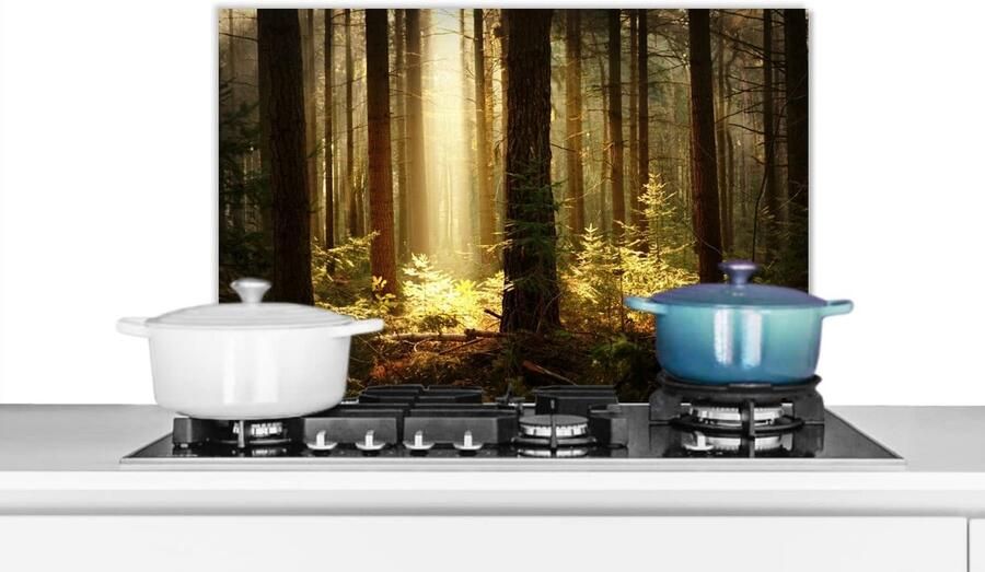 Keuken Spatscherm Wandpaneel Kookplaat Beschermen Scherpe Fotoprint 60x40 cm Veelkleurig