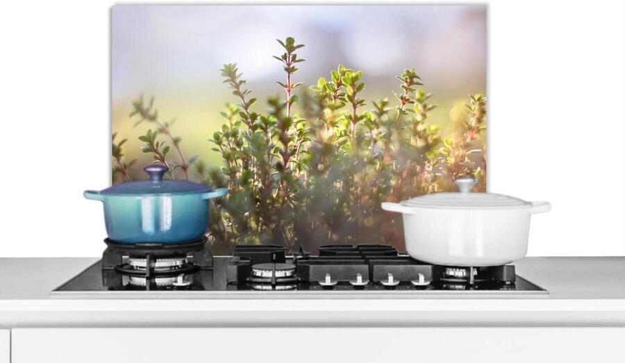 Spatscherm Keuken Spatwand Achterwand Koken Beschermen Unieke Fotoafdruk 60x40 cm Veelkleurig