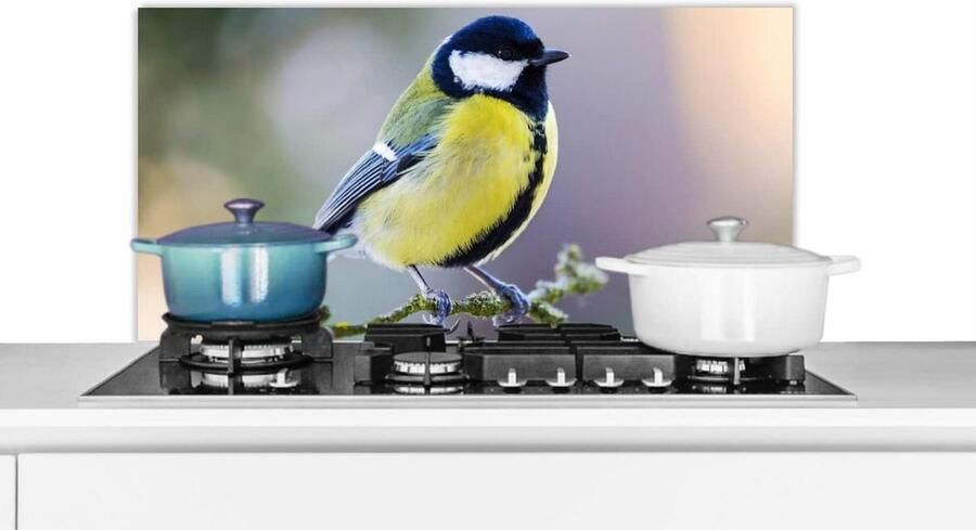 Keuken Spatscherm Wandpaneel Kookplaat Beschermen Unieke Fotoafdruk 80x40 cm Veelkleurig