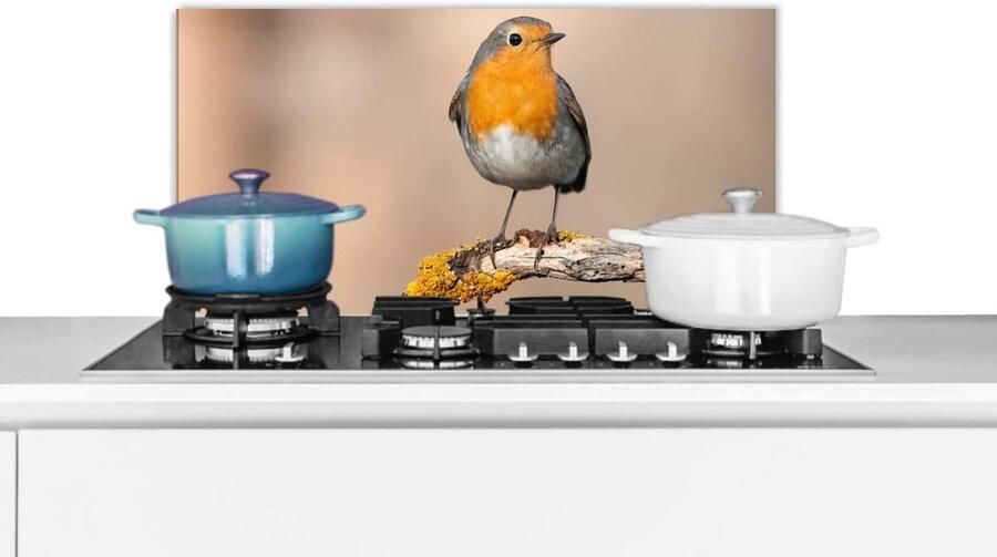 Keuken Spatscherm Wandpaneel Spat Koken Beschermen Luxe Aluminium 60x30 cm Veelkleurig