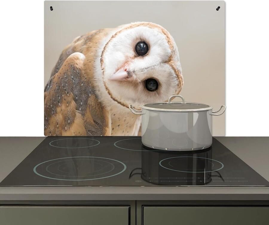 Keuken Spatwand Achterwand Beschermer Kookplaat Reinigen Hittebestendig Vinyl 59x77 cm Beige Uil