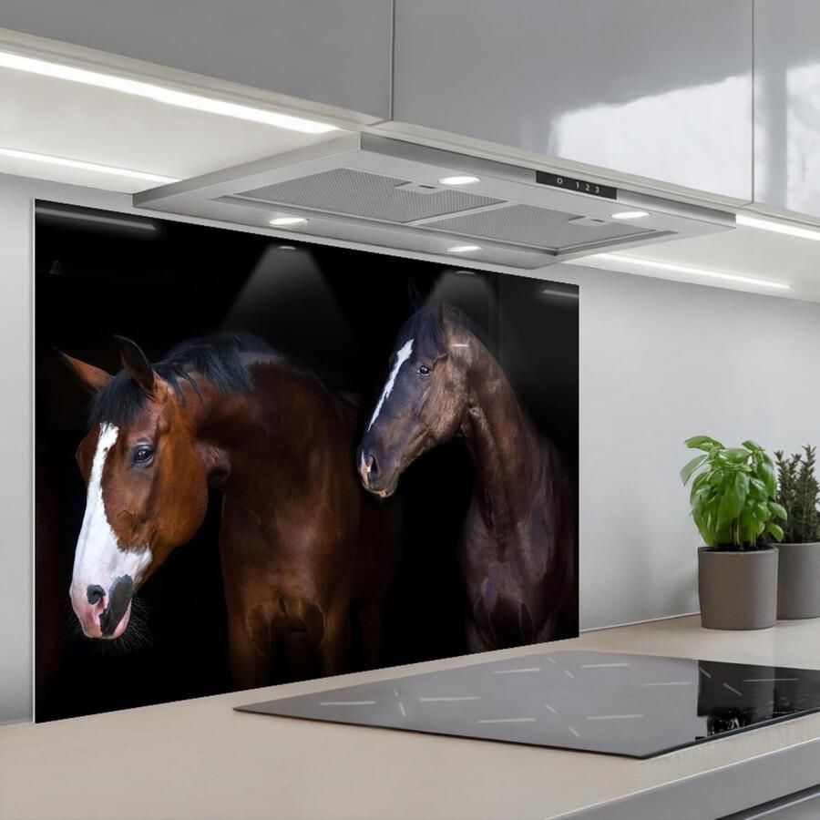 Keuken Splash Guard Decoratief Paneel Koken Beschermen Glas Effect Print 55 x 80 cm Paard Dieren
