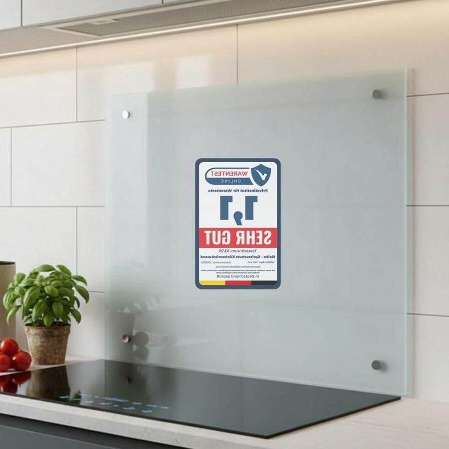 Keukenachterwand Glas Spatbescherming Keuken Koken Beschermen Matglas Afwerking 90x40 cm Matglas