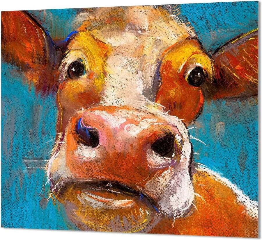 Keukenachterwand Glas Spatbescherming Kookplaat Keuken Beschermen Gehard Glas 65 x 60 cm Decoratief