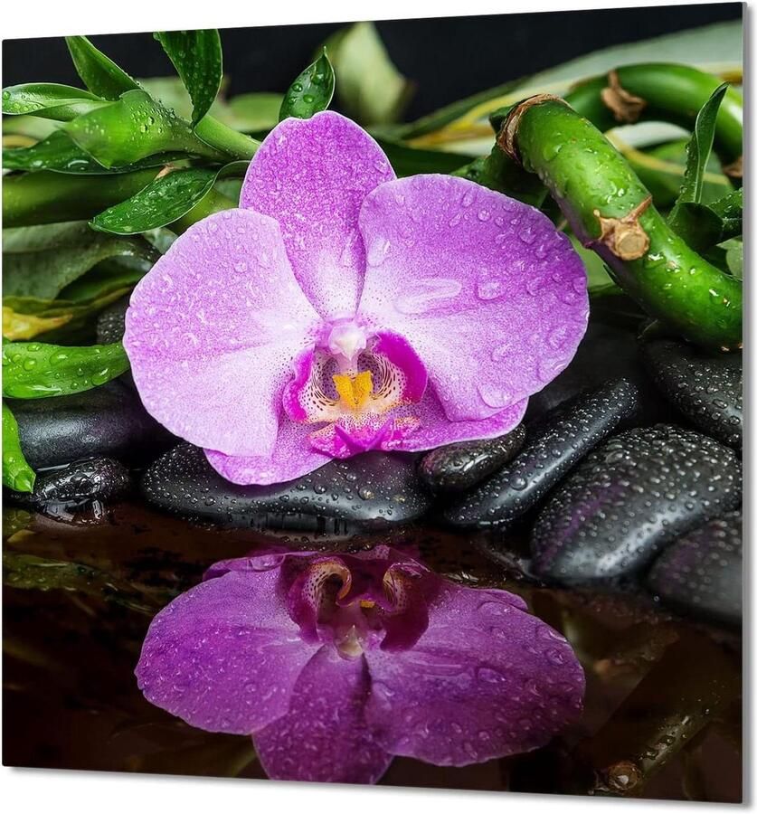 Keukenachterwand Glas Spatbescherming Kookplaat Keuken Decoratie Gehard Glas 60 x 65 cm Orchidee